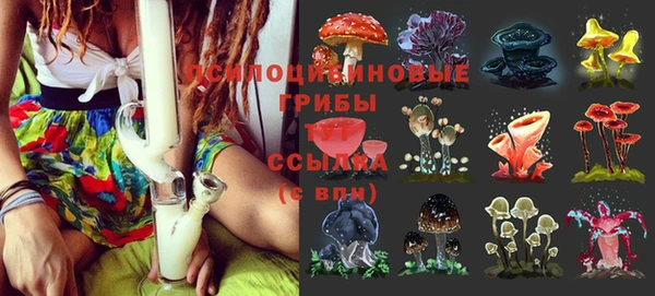 PSILOCYBIN Валдай