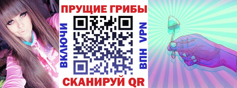 ОМГ ОМГ tor  Ирбит  Галлюциногенные грибы Psilocybe 